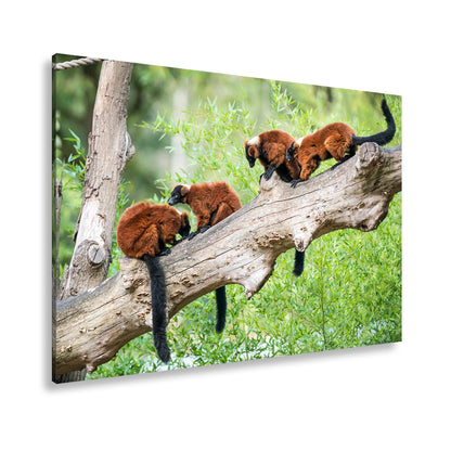 Hauptbild Farbig Standart