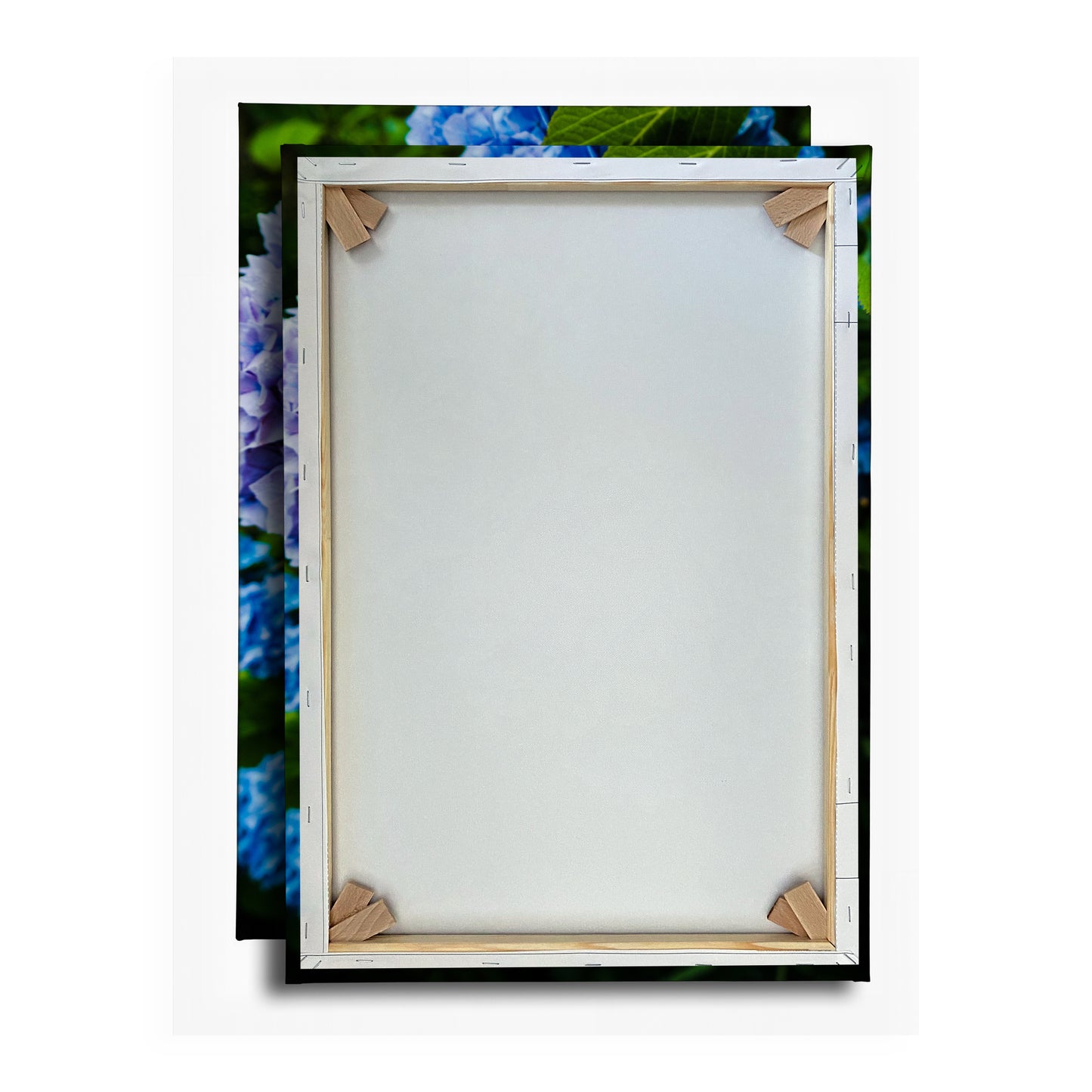 Vorschaubild Rückwand