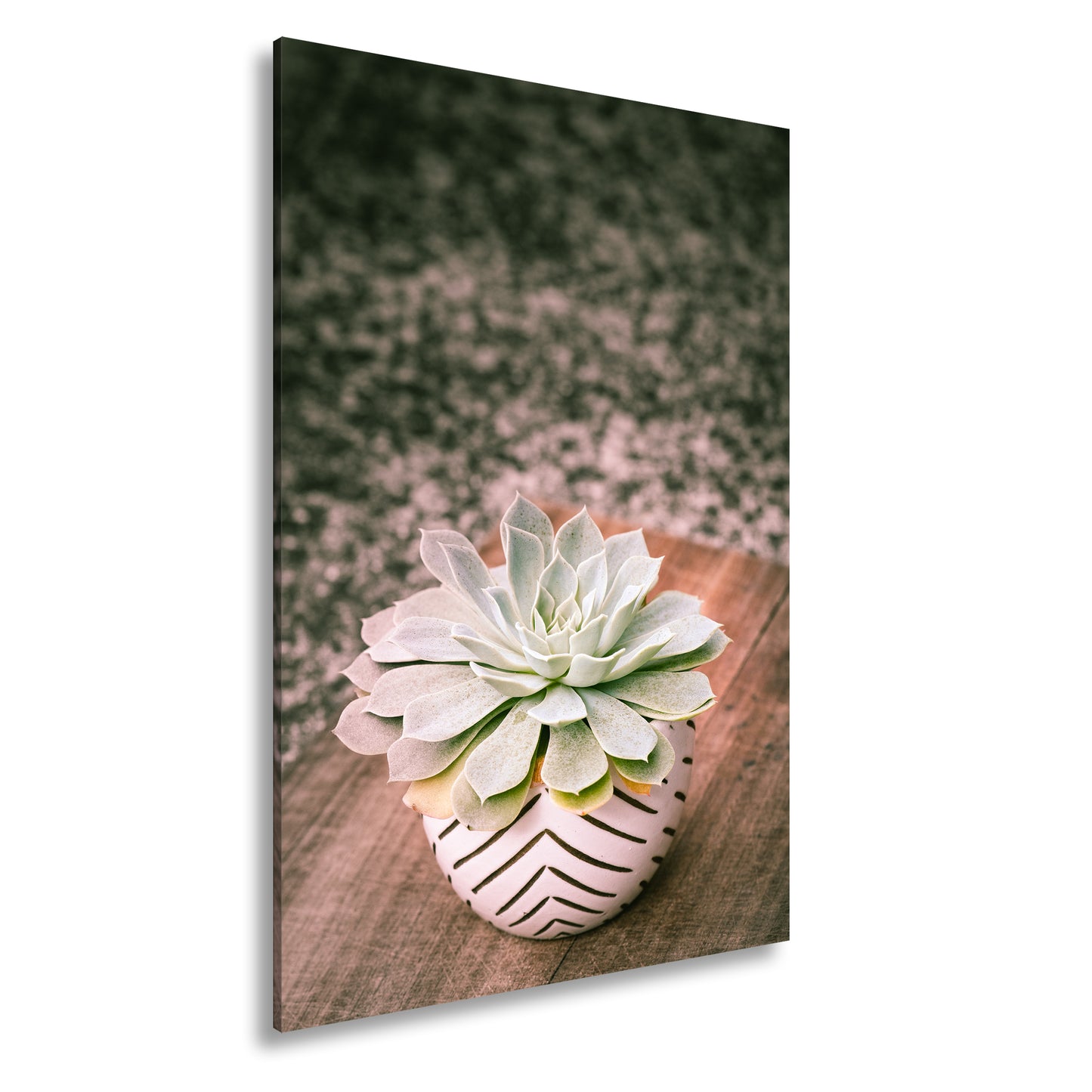 Hauptbild Farbig Standart