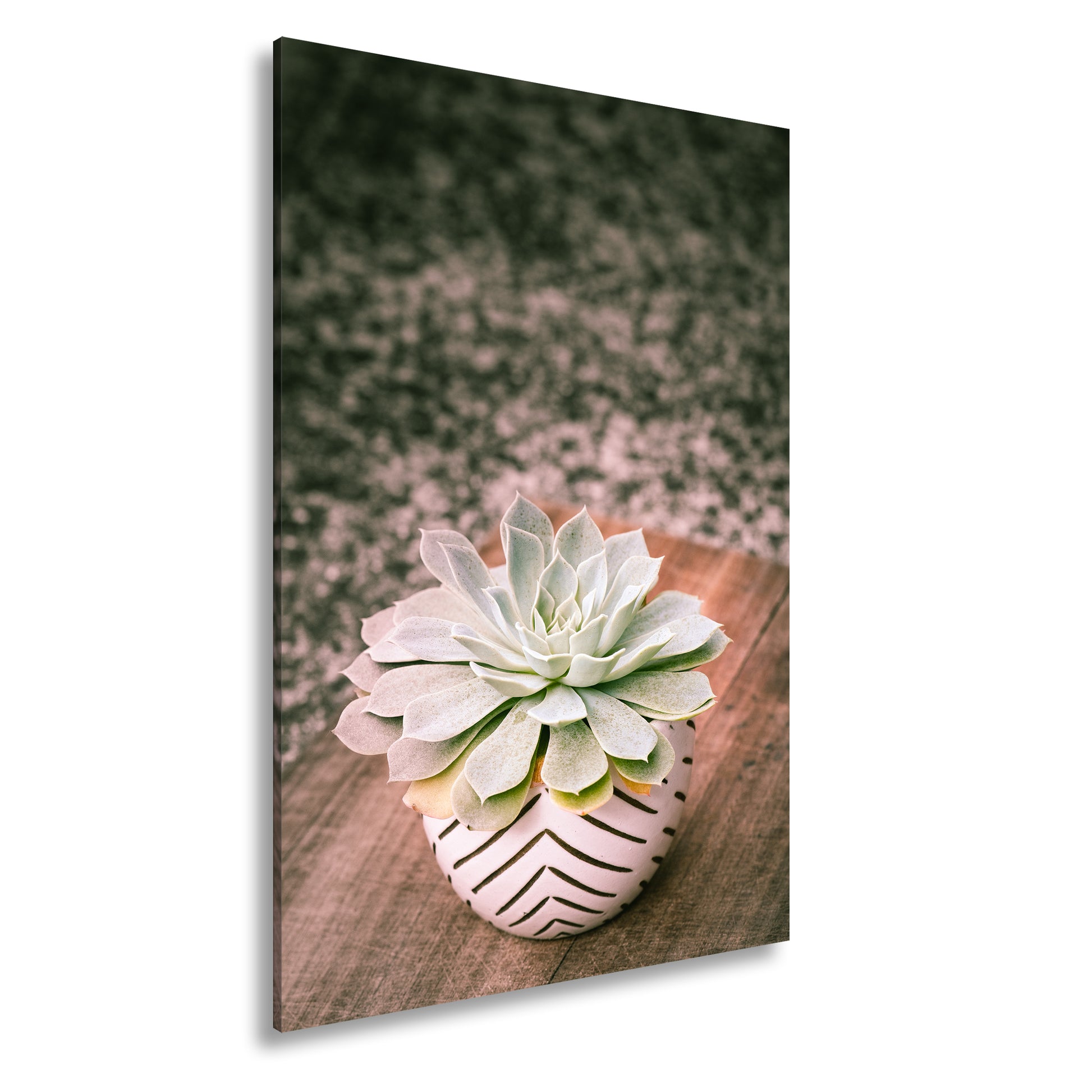 Hauptbild Farbig Standart