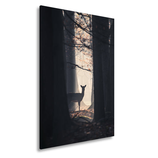 Hauptbild Farbig Standart