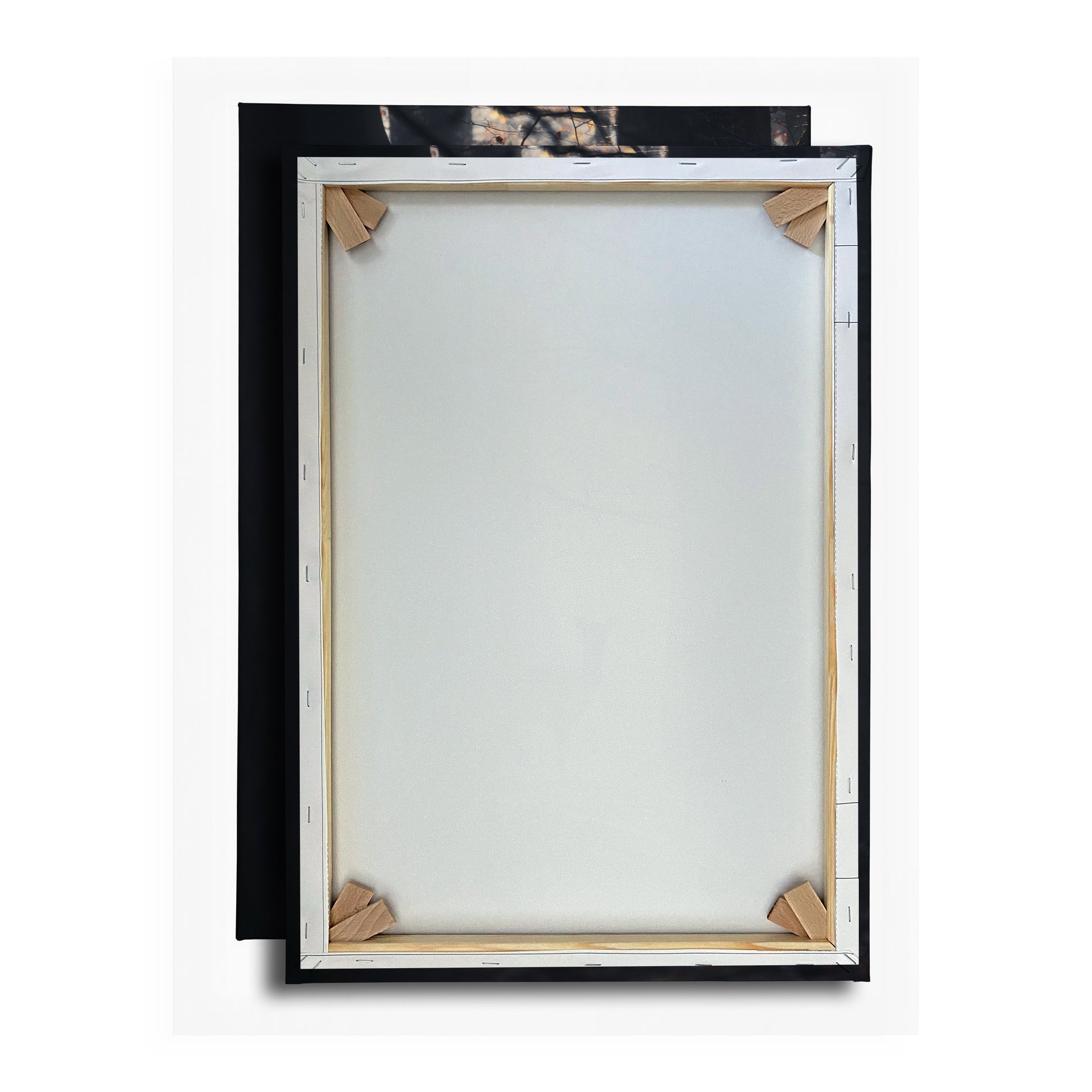 Vorschaubild Rückwand