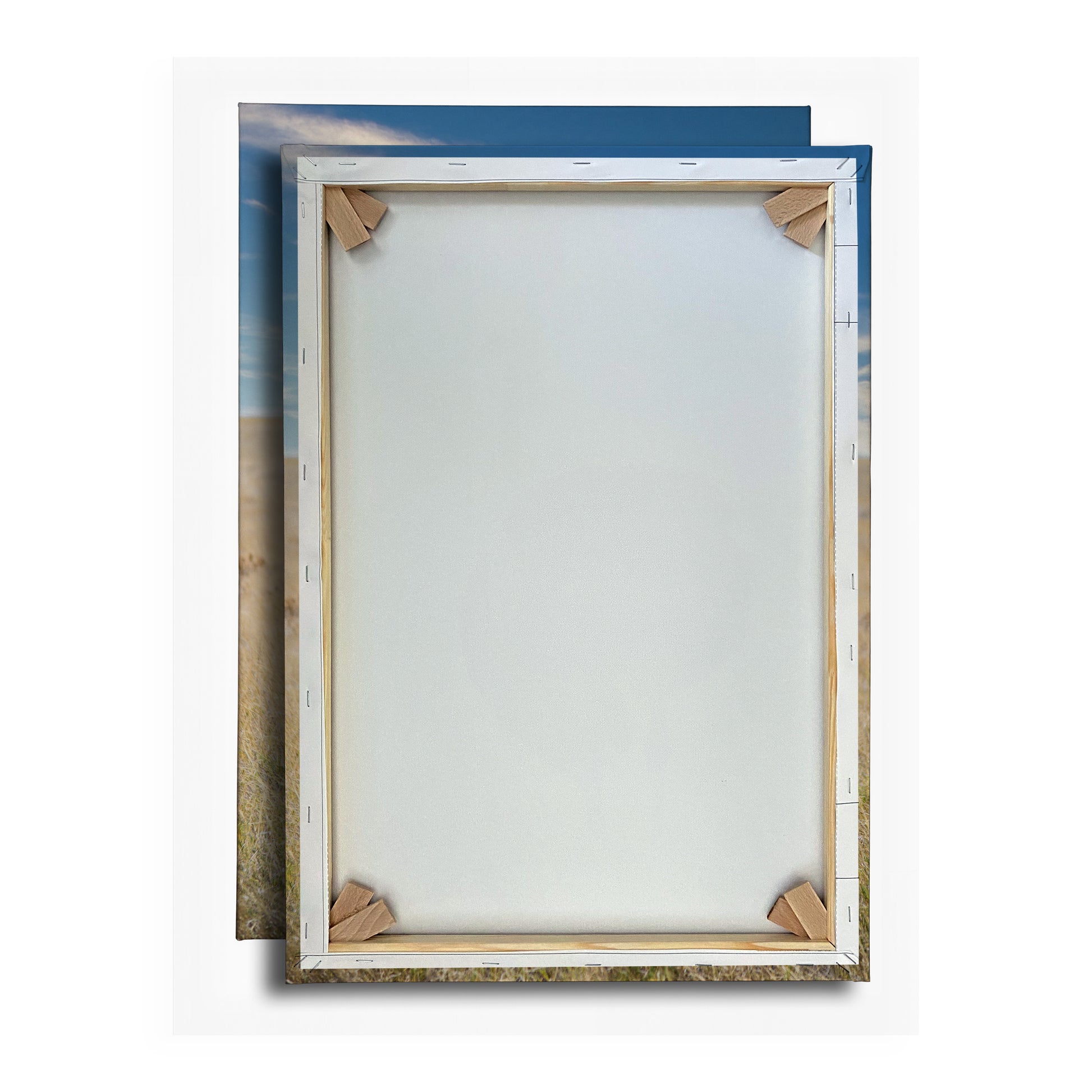 Vorschaubild Rückwand