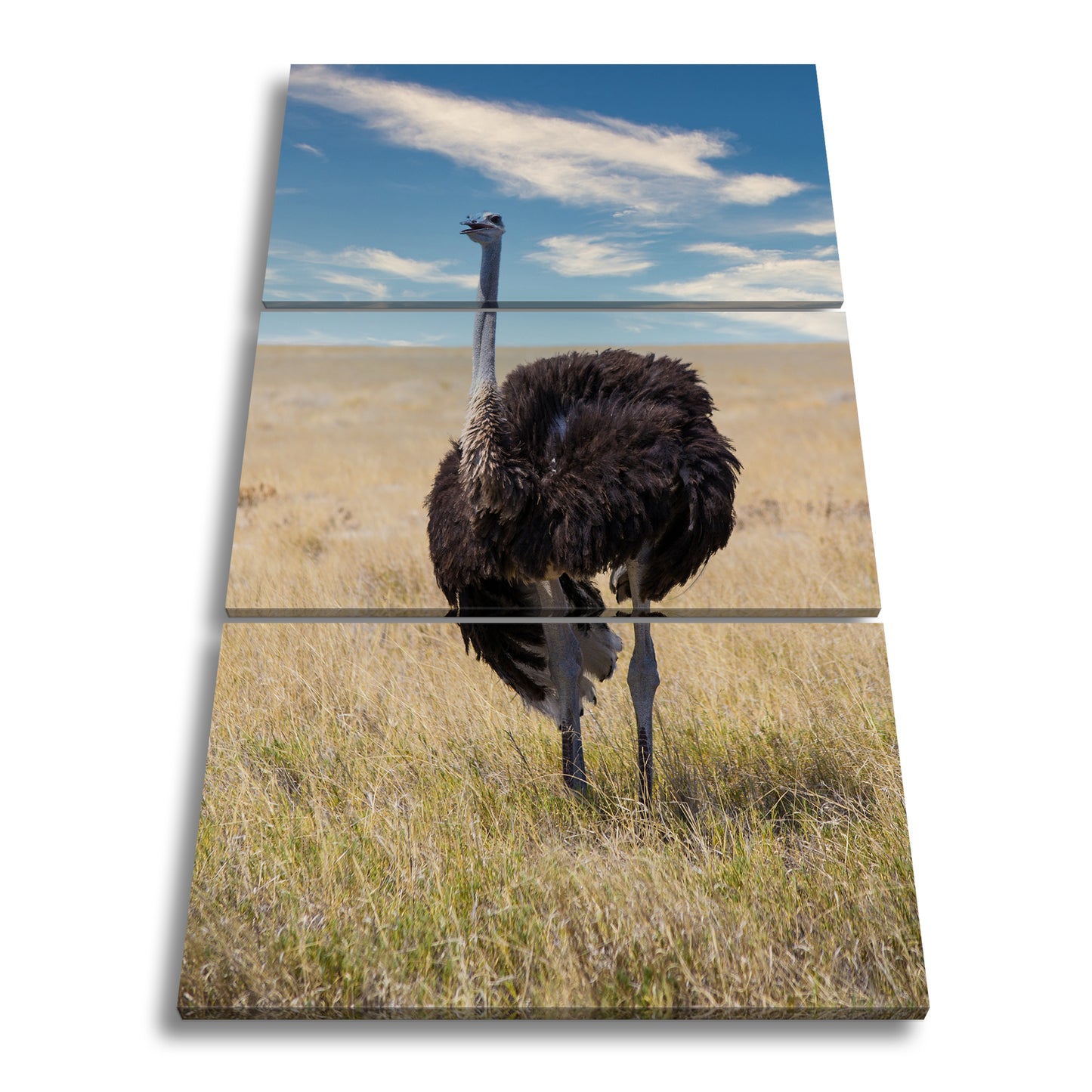 Hauptbild Farbig 3 Teilig