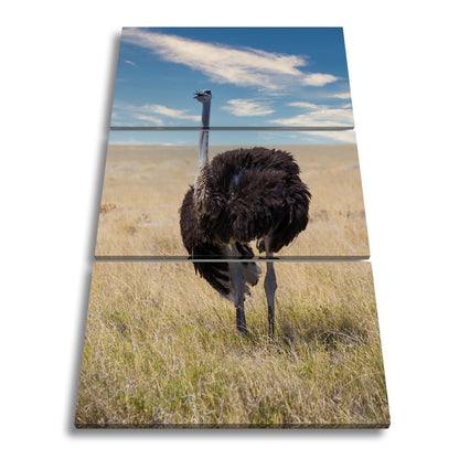 Hauptbild Farbig 3 Teilig