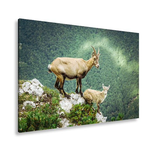 Hauptbild Farbig Standart