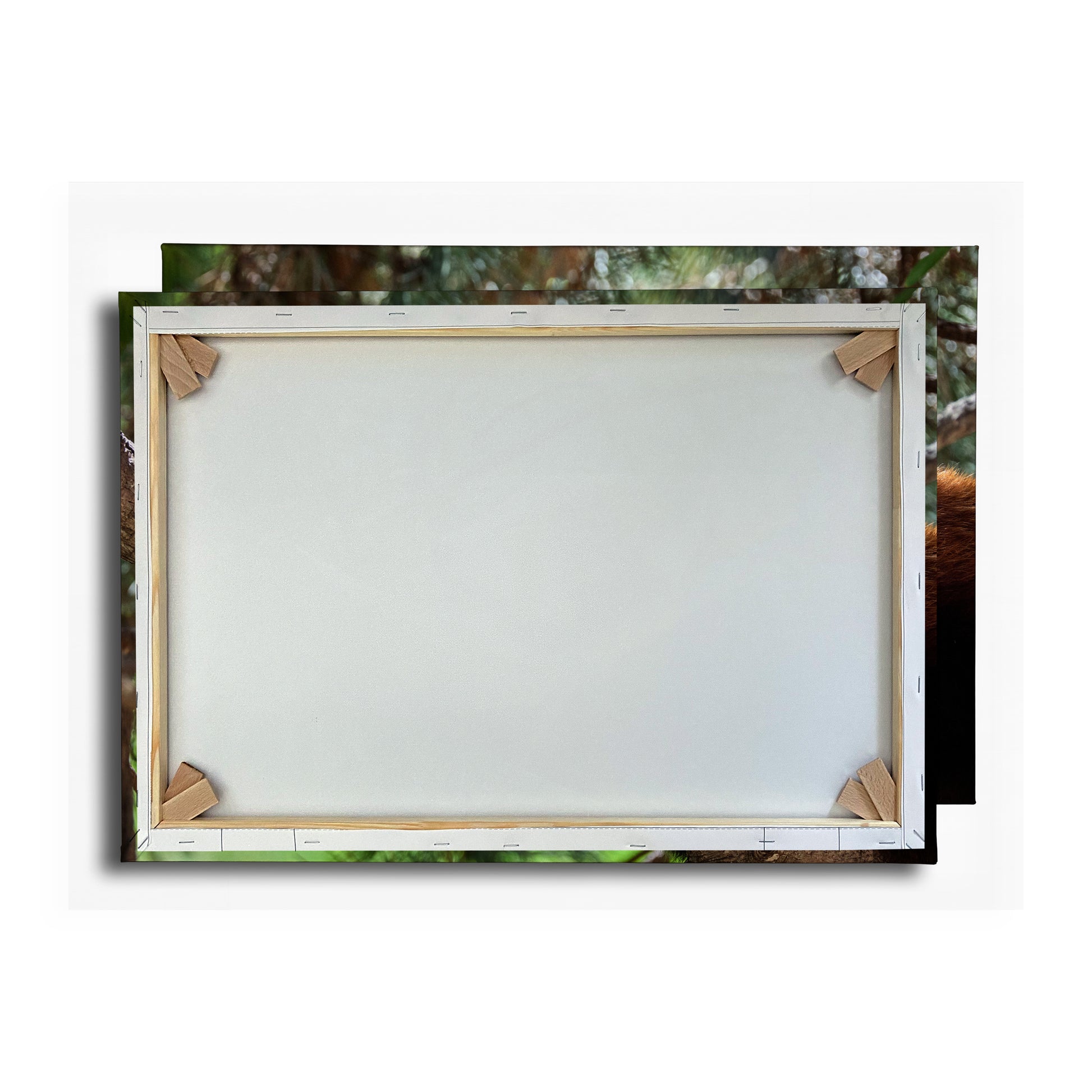 Vorschaubild Rückwand