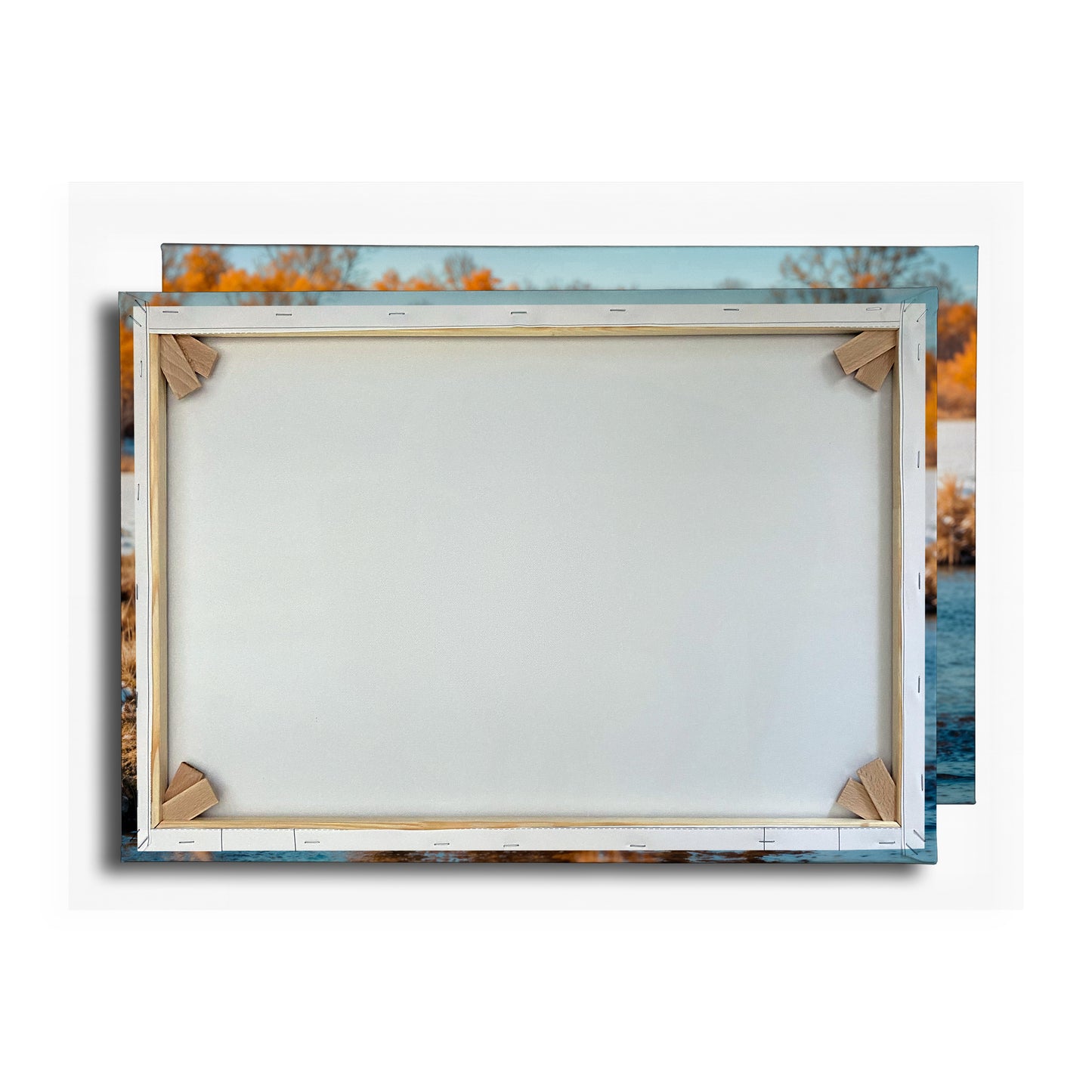 Vorschaubild Rückwand