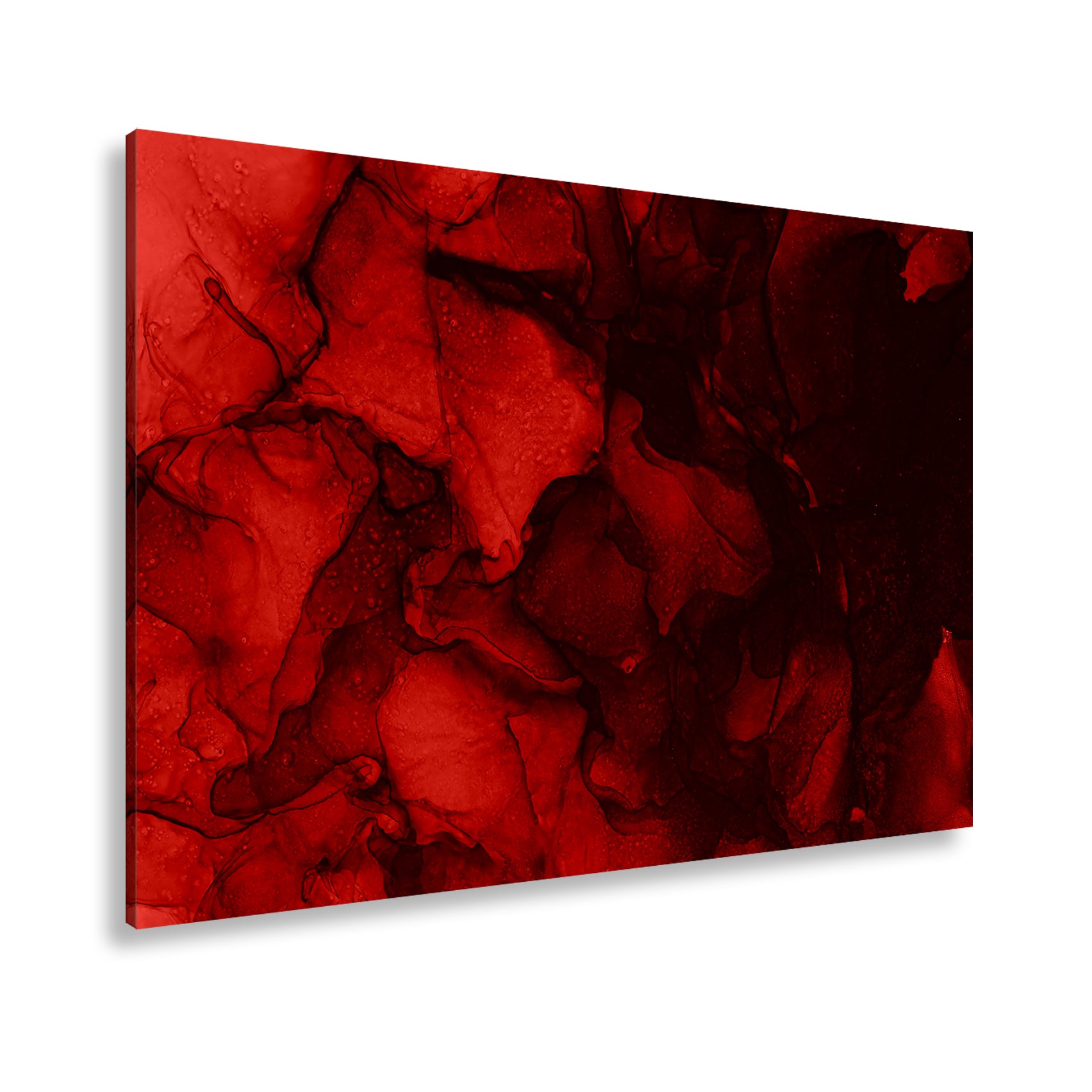 Hauptbild Farbig Standart