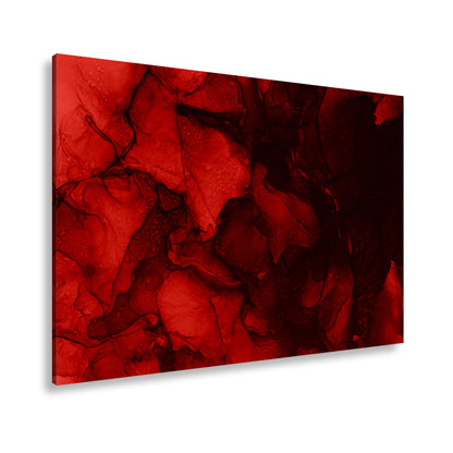 Hauptbild Farbig Standart