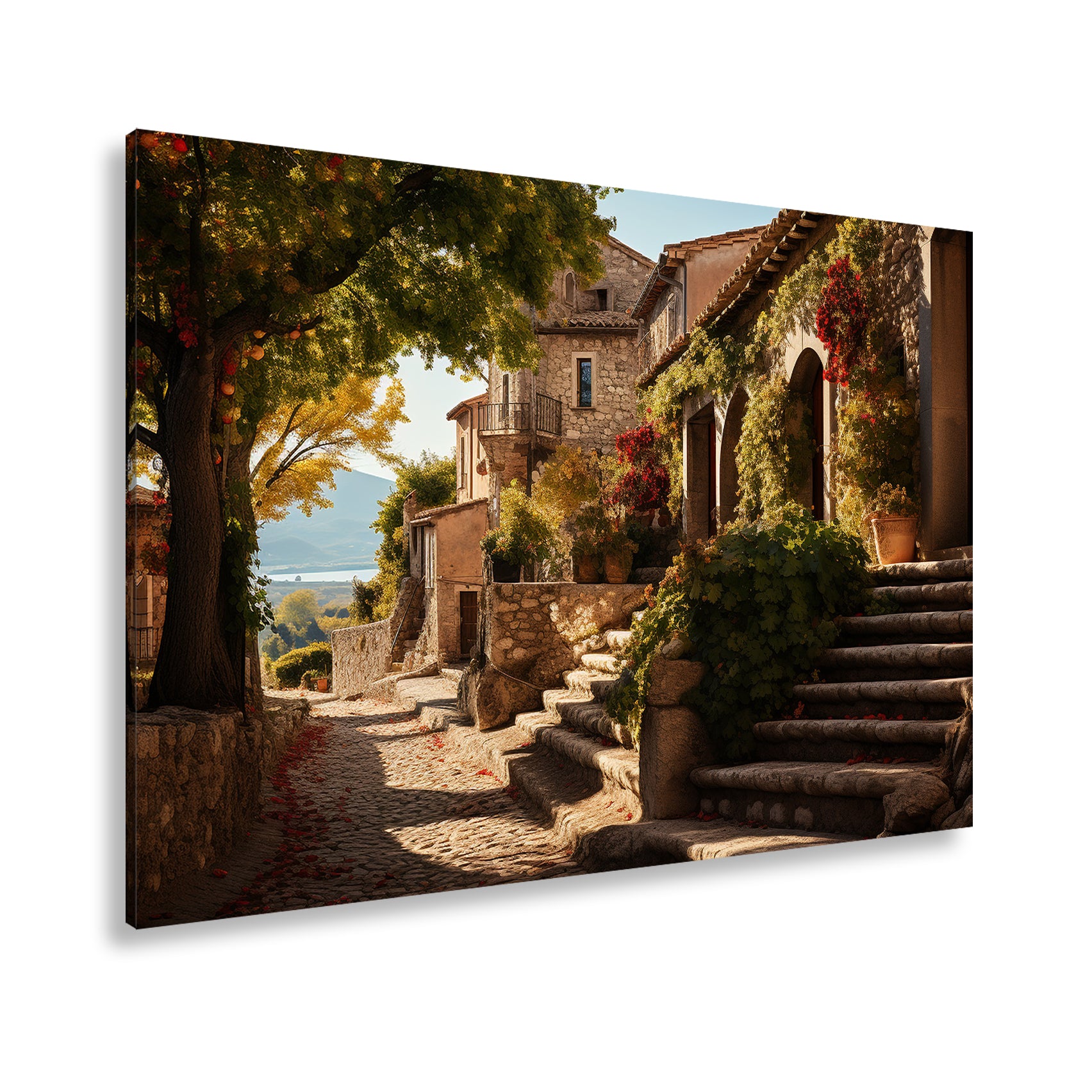 Hauptbild Farbig Standart