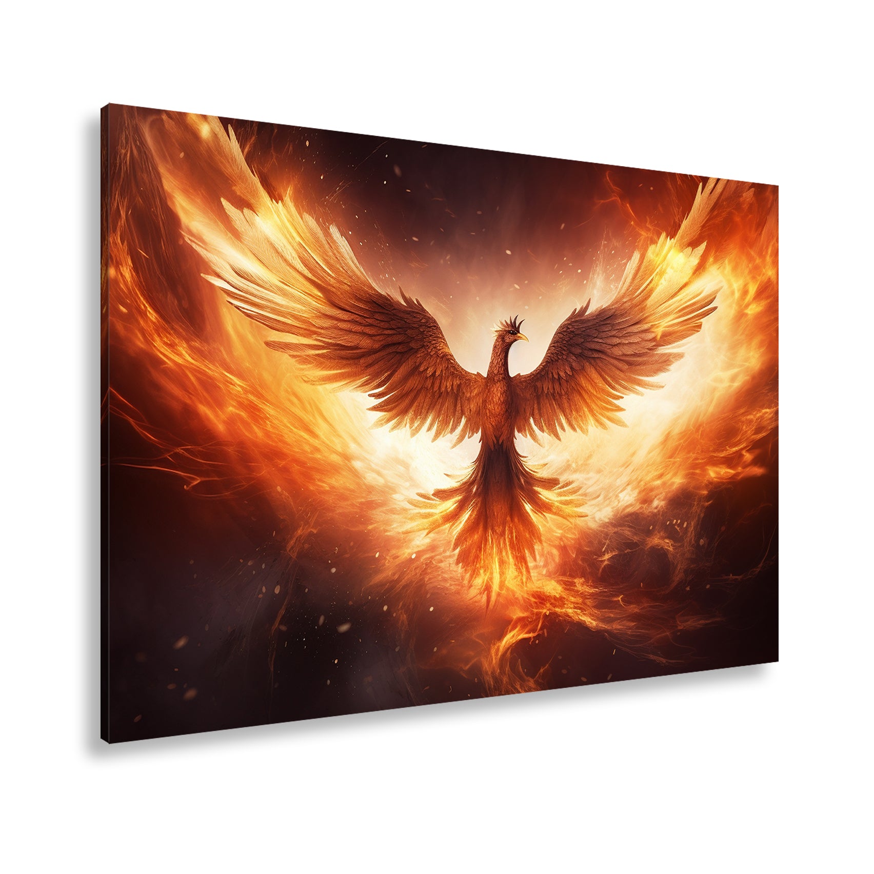 Hauptbild Farbig Standart