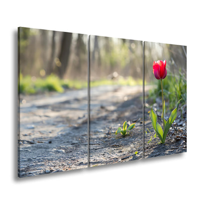 Hauptbild Farbig 3 Teilig