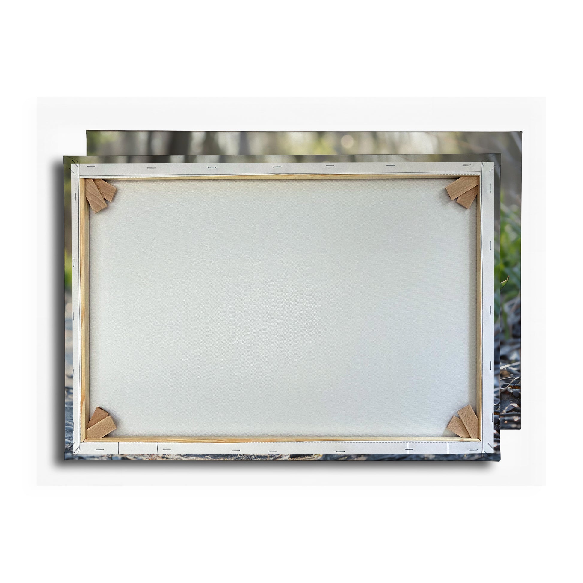 Vorschaubild Rückwand