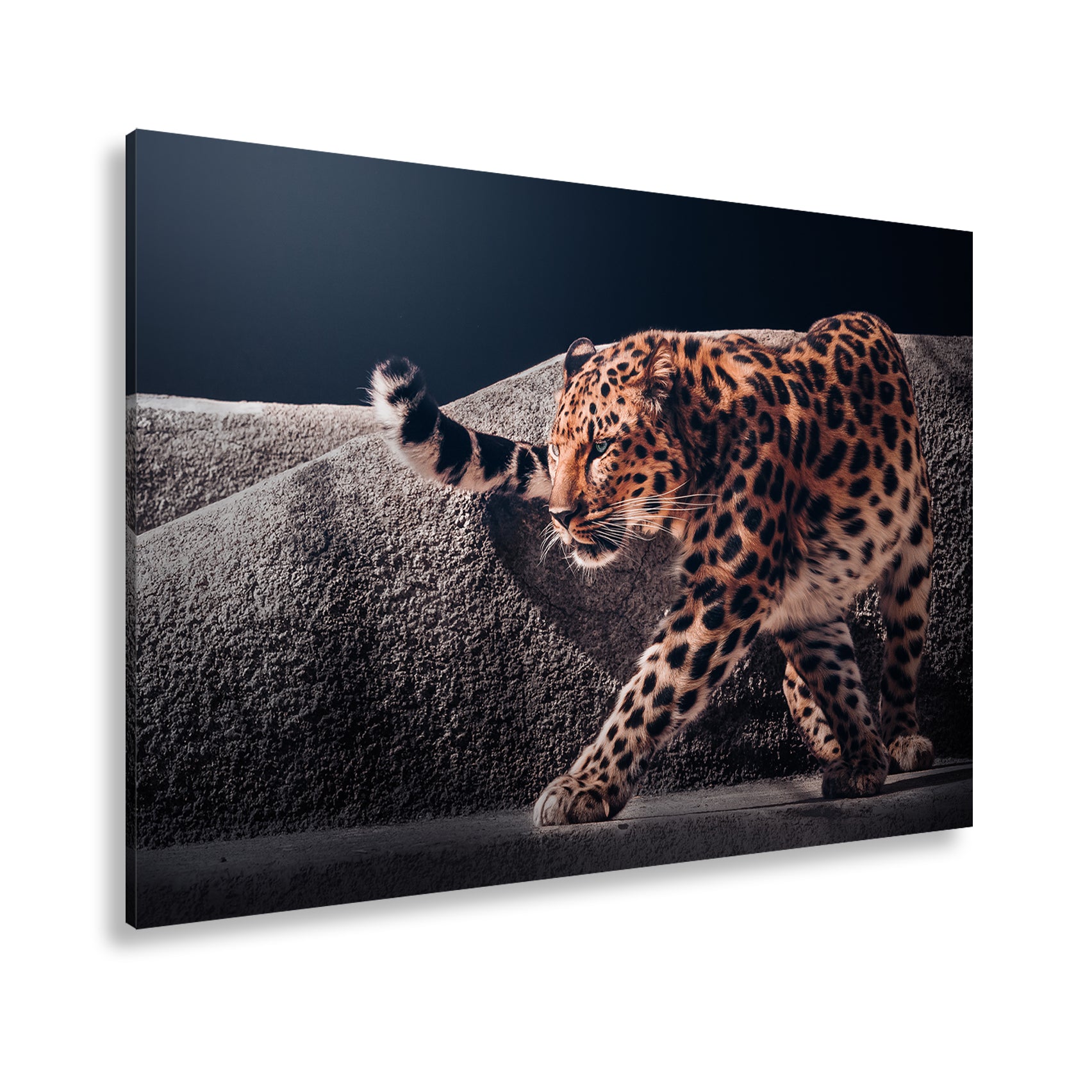 Hauptbild Farbig Standart