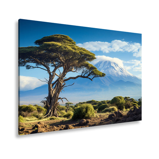 Hauptbild Farbig Standart