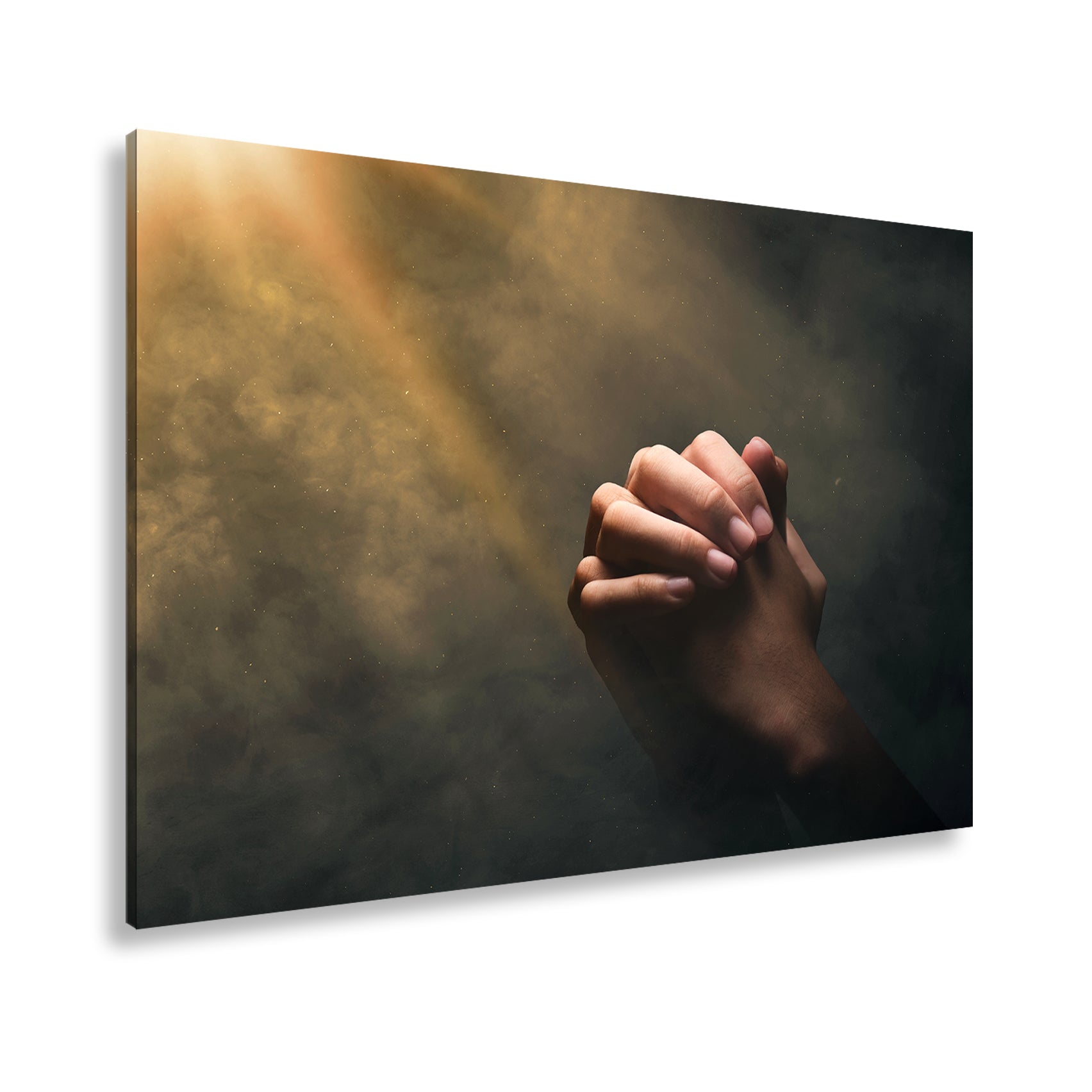 Hauptbild Farbig Standart