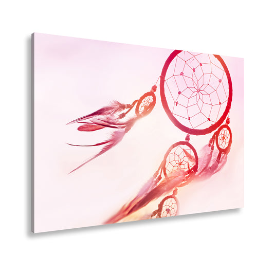 Hauptbild Farbig Standart