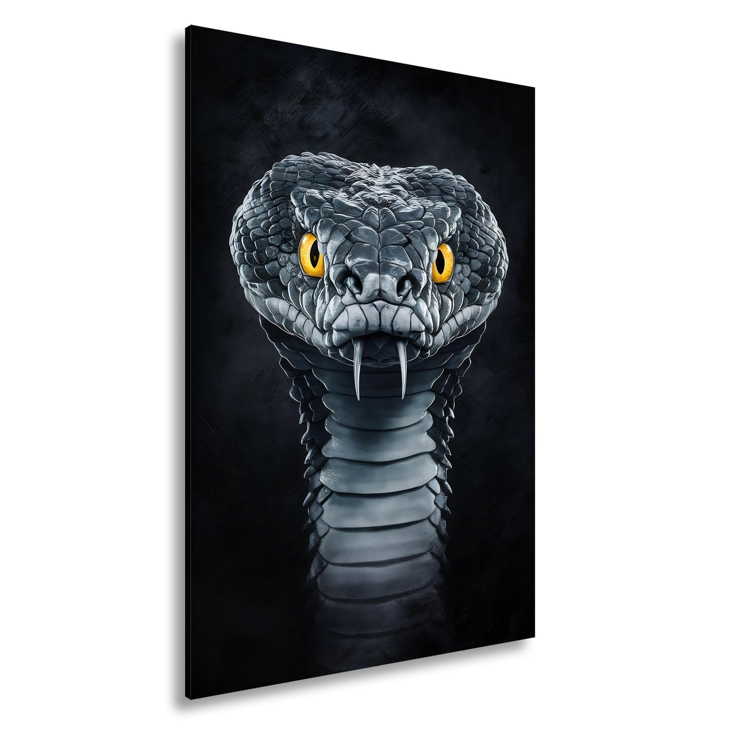 Hauptbild Farbig Standart