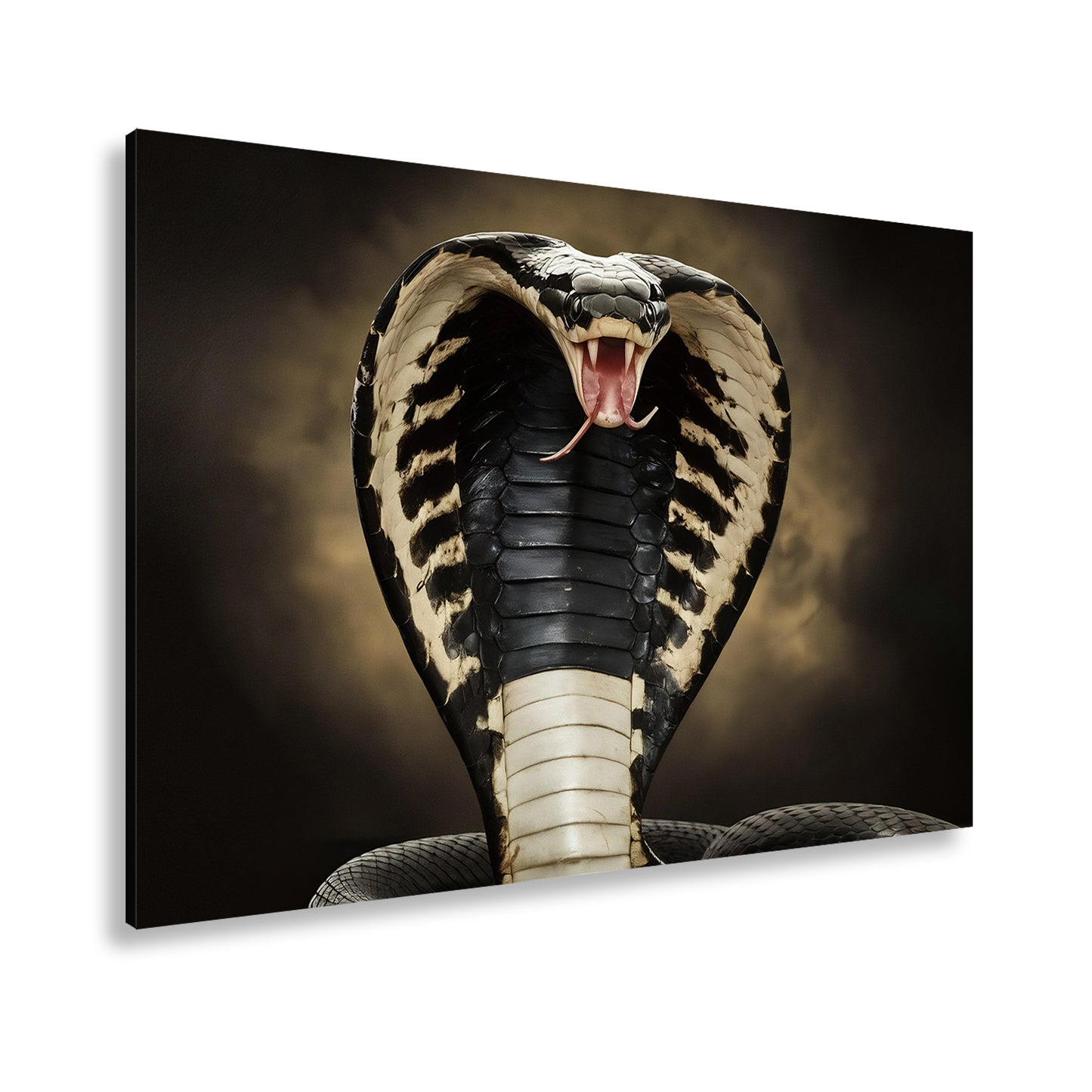 Hauptbild Farbig Standart