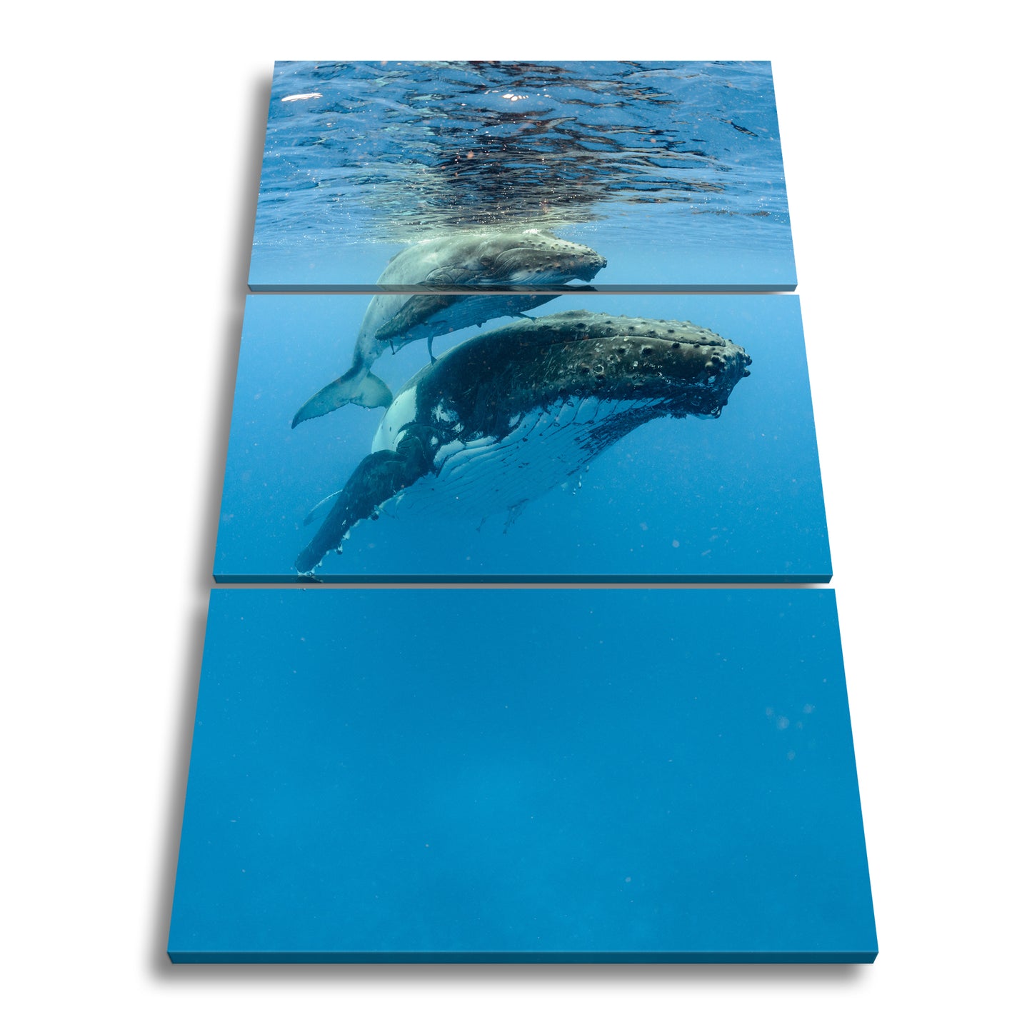 Hauptbild Farbig 3 Teilig