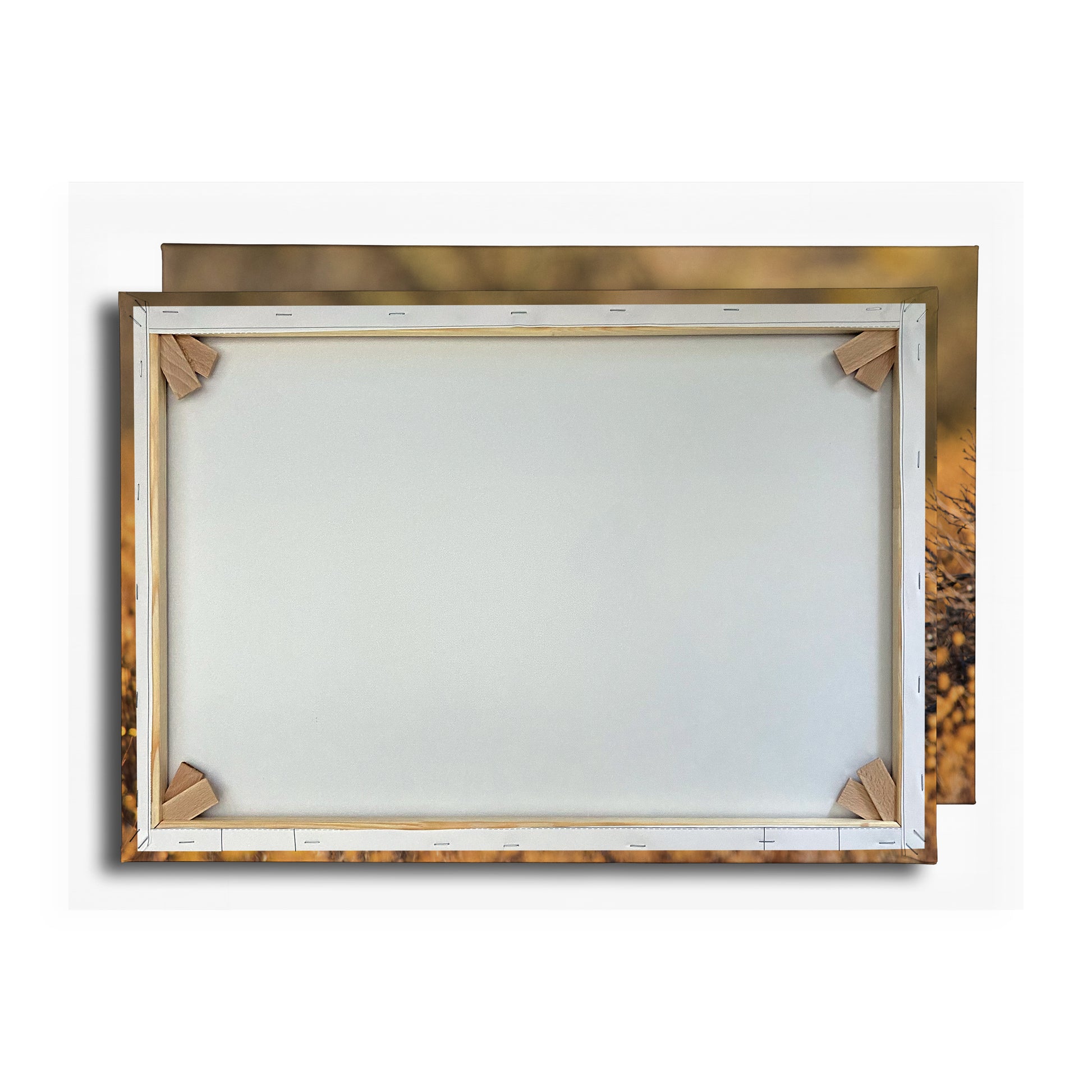 Vorschaubild Rückwand