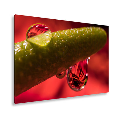 Hauptbild Farbig Standart