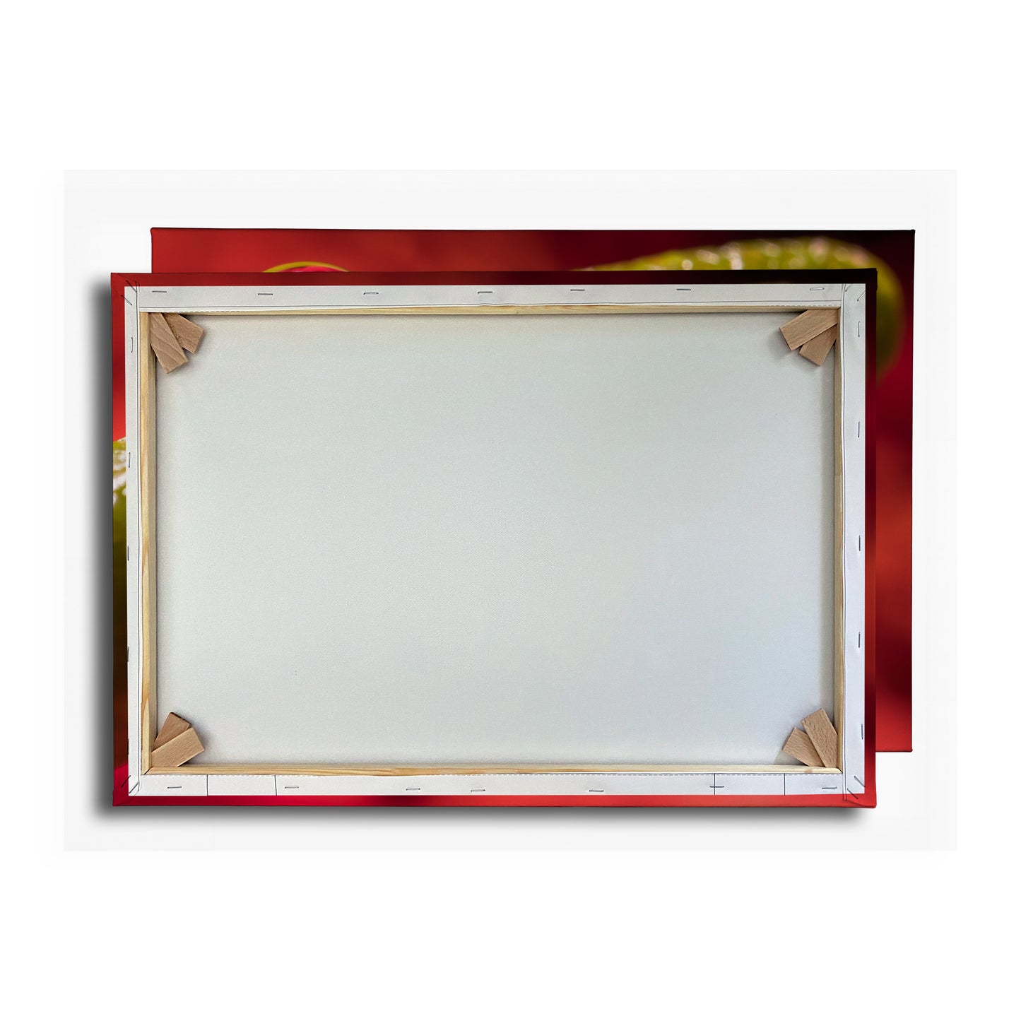 Vorschaubild Rückwand