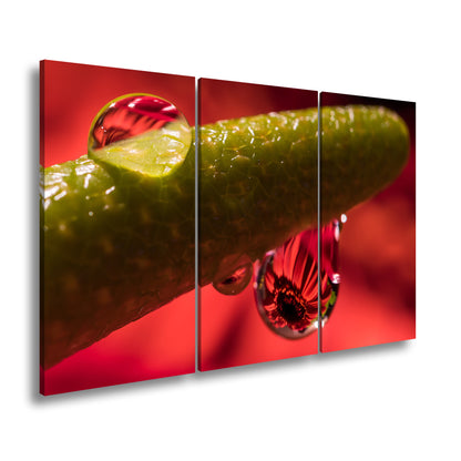 Hauptbild Farbig 3 Teilig