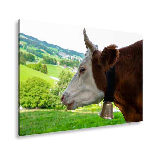 Hauptbild Farbig Standart