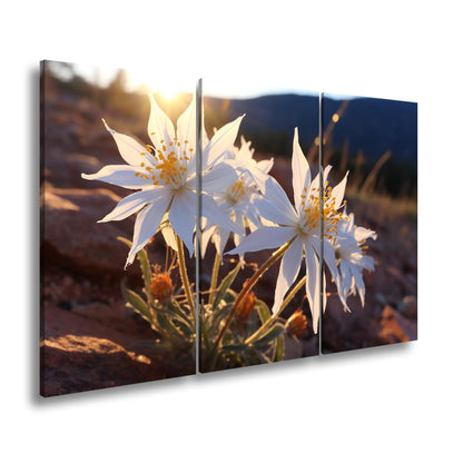 Hauptbild Farbig 3 Teilig