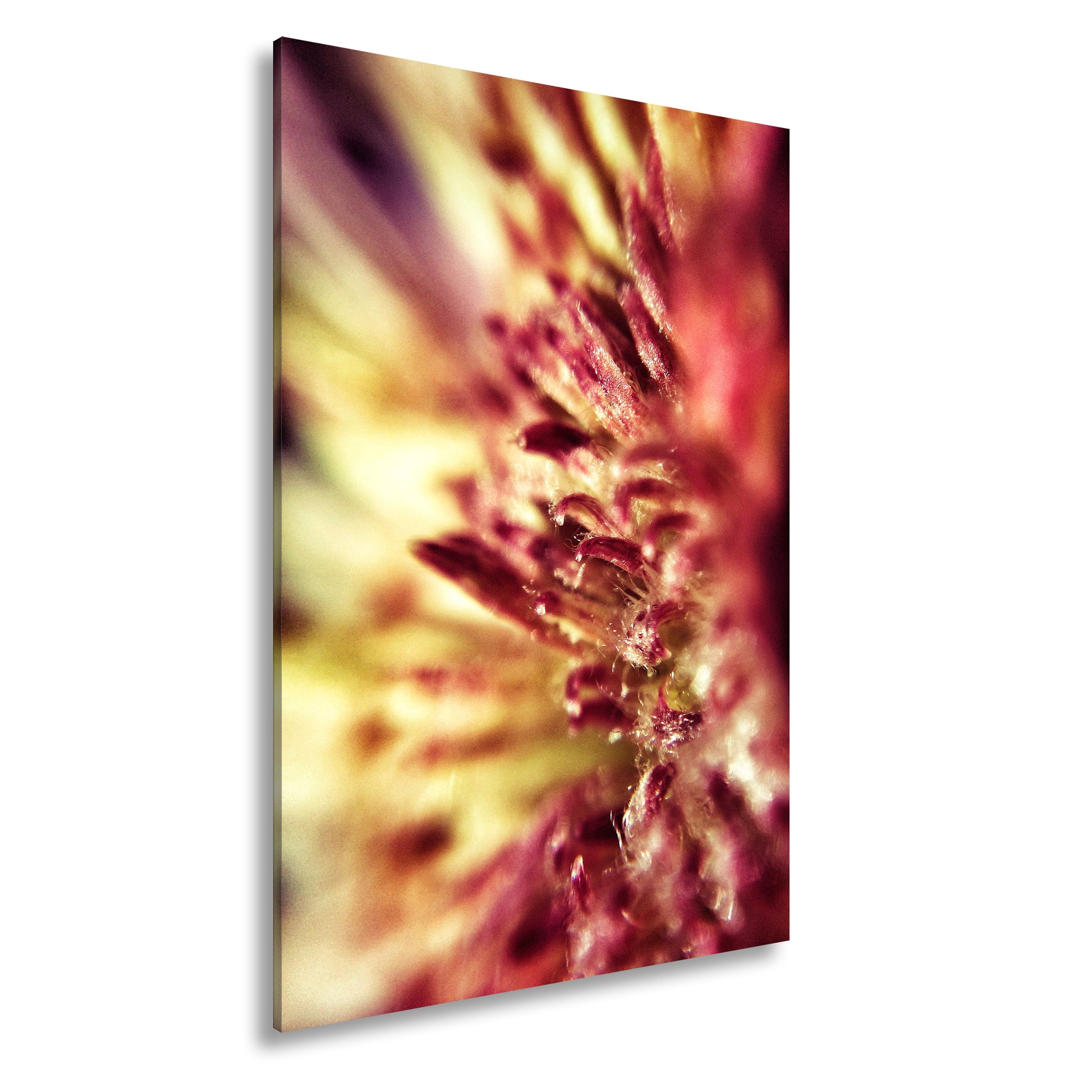 Hauptbild Farbig Standart