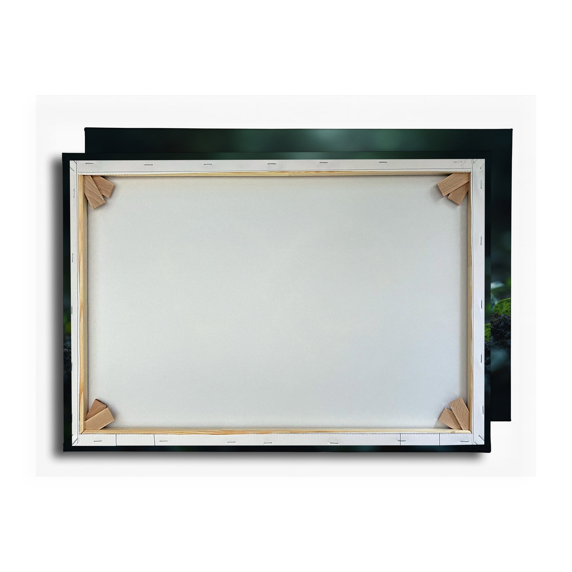 Vorschaubild Rückwand