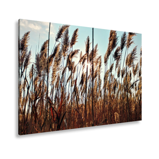 Hauptbild Farbig Standart