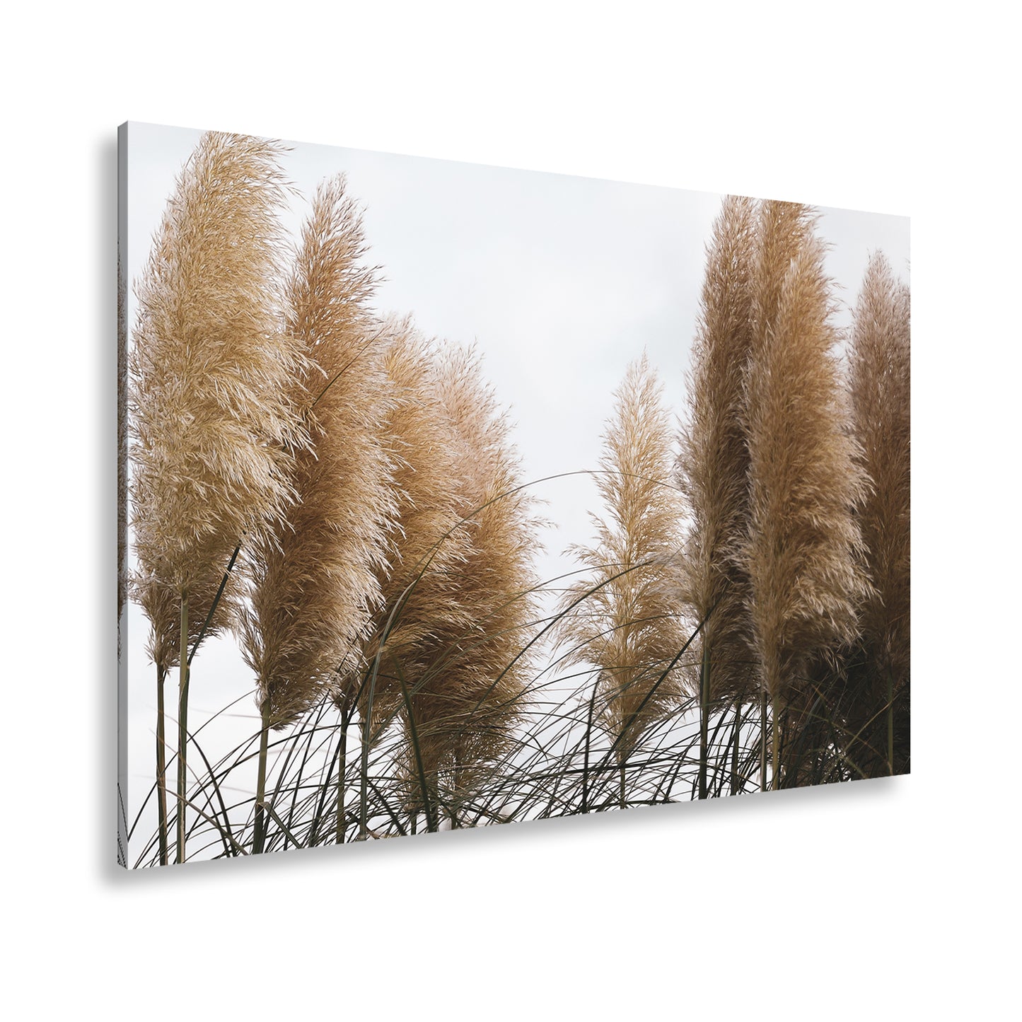 Hauptbild Farbig Standart