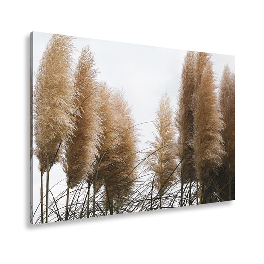 Hauptbild Farbig Standart