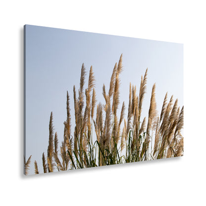 Hauptbild Farbig Standart