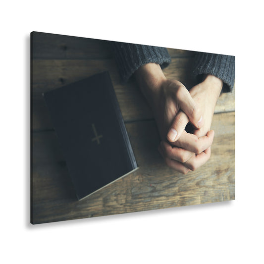 Hauptbild Farbig Standart