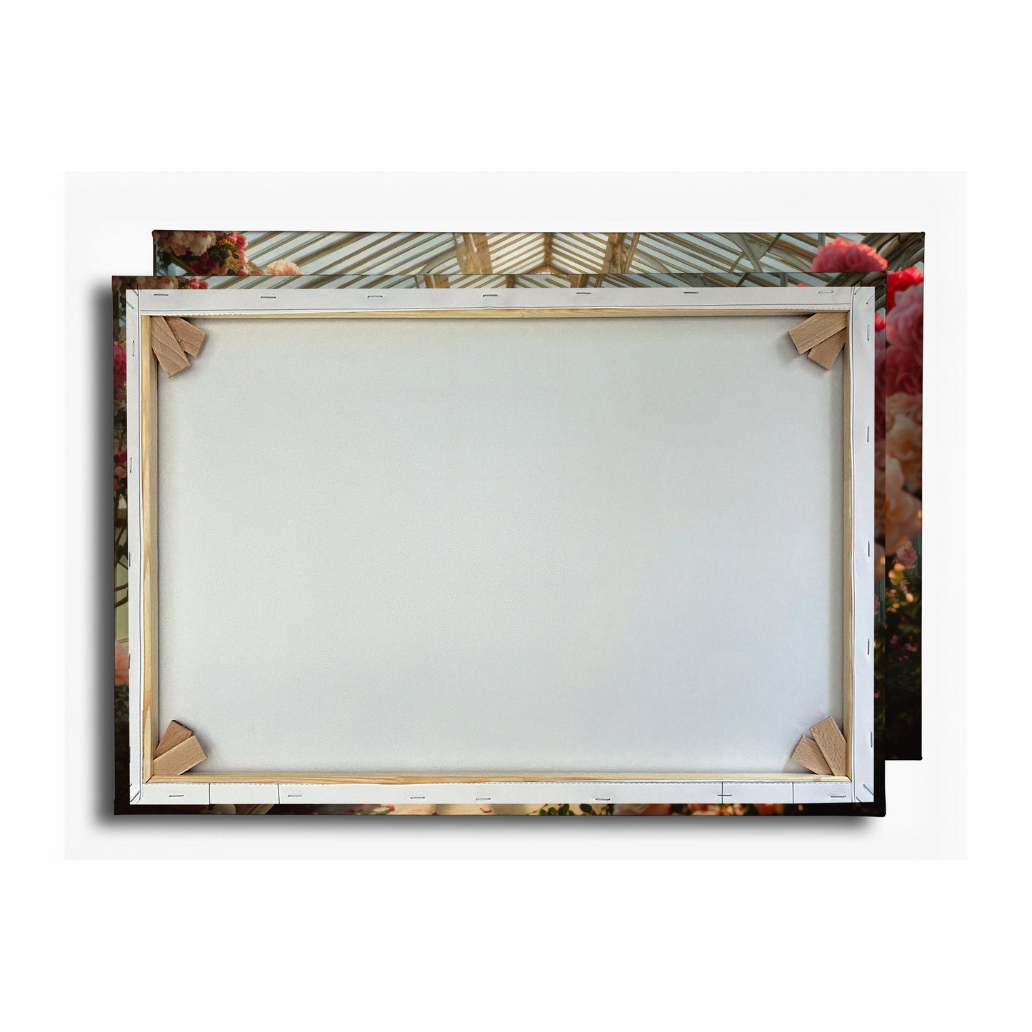 Vorschaubild Rückwand