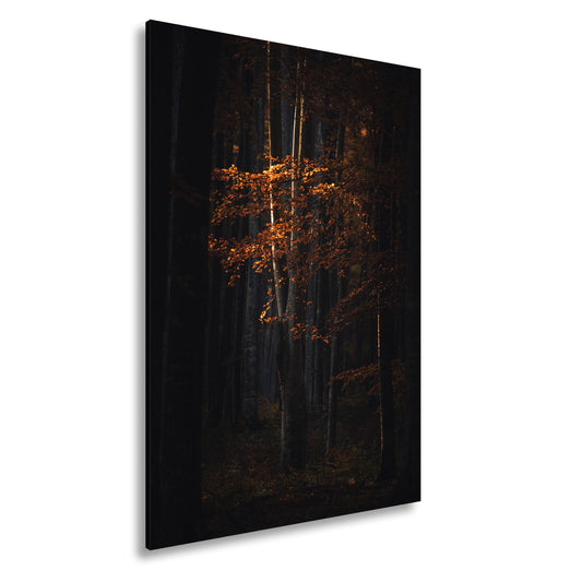 Hauptbild Farbig Standart