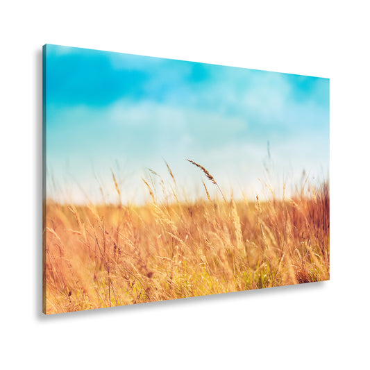 Hauptbild Farbig Standart