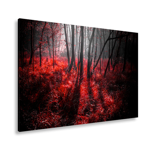 Hauptbild Farbig Standart