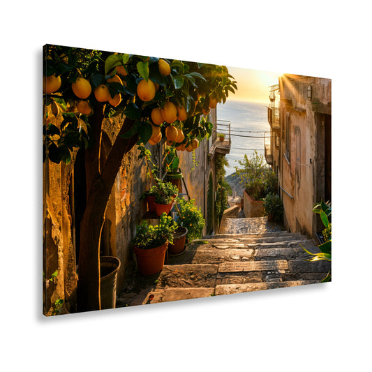 Hauptbild Farbig Standart