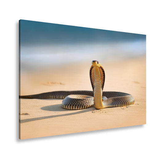 Hauptbild Farbig Standart