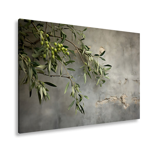 Hauptbild Farbig Standart