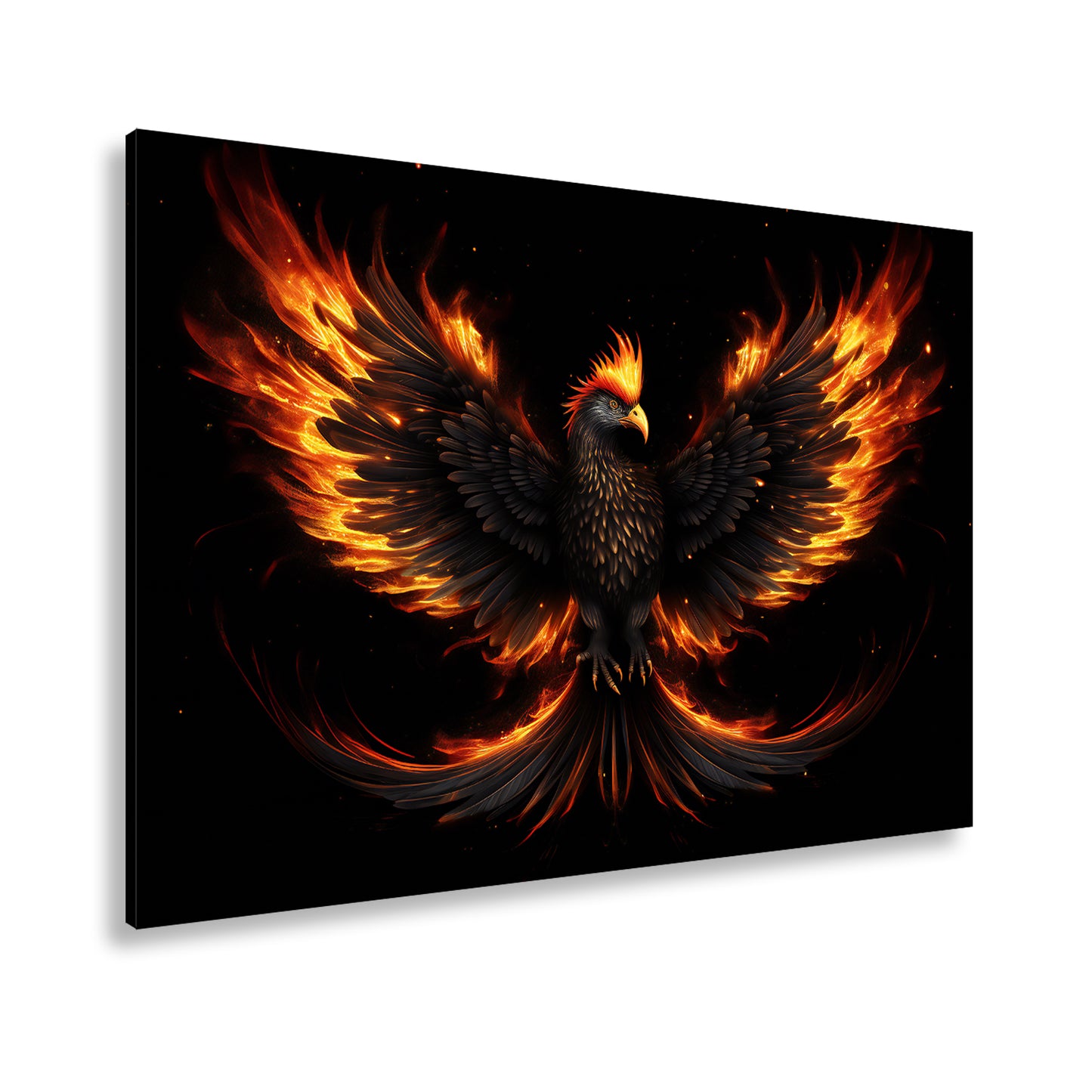 Hauptbild Farbig Standart