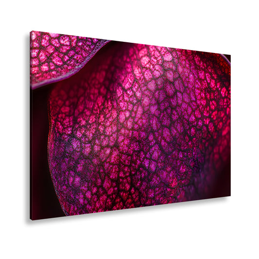 Hauptbild Farbig Standart