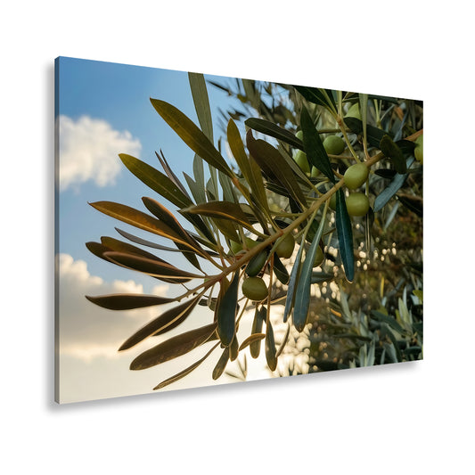 Hauptbild Farbig Standart