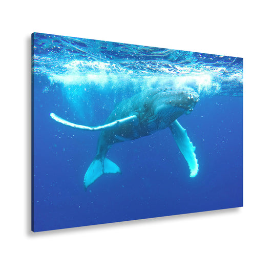 Hauptbild Farbig Standart