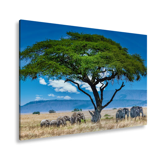 Hauptbild Farbig Standart